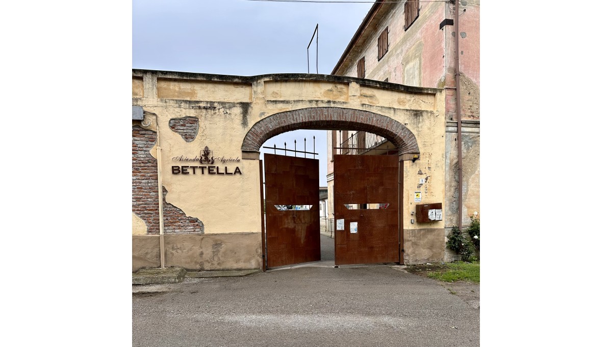 La mia esperienza nell'azienda Agricola Bettella La mia esperienza nell'azienda Agricola Bettella